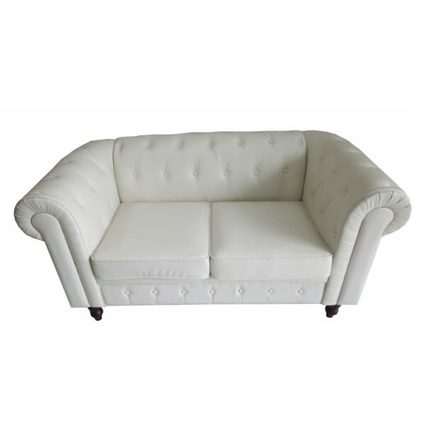 Modern PU Leather 2 Seater Sofa Couch High Quality Accent Chair Classic Tufted Button and Nailhead Rolled Arm for Office Living Room