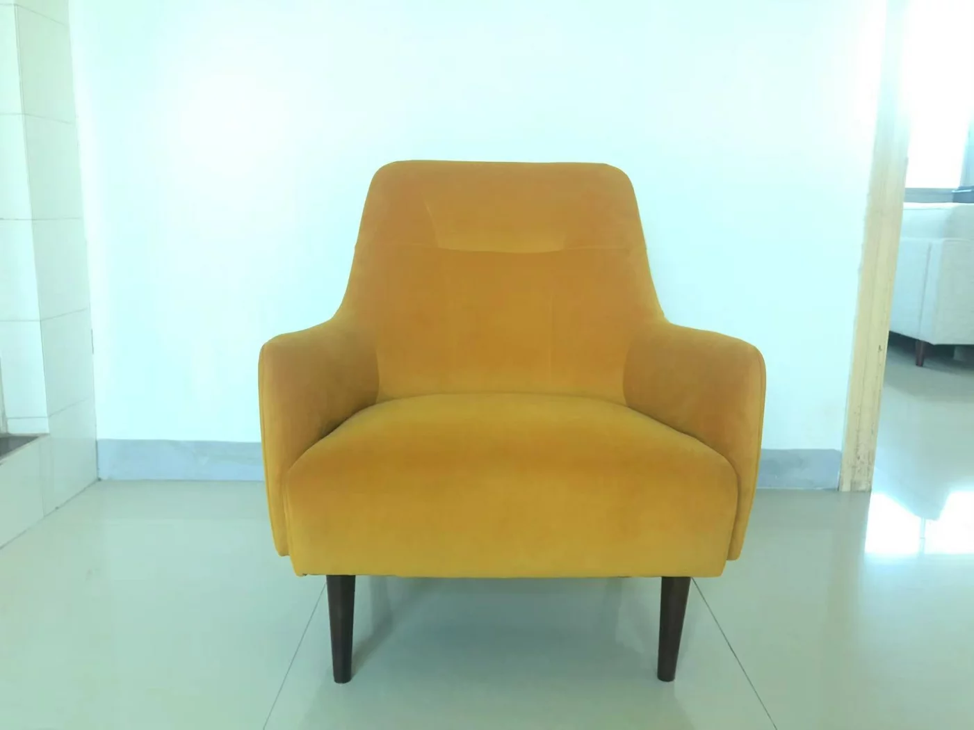 Velvet sofa chairs 6