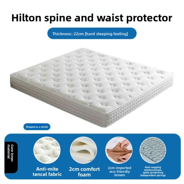 High Quality Luxury Five Star Hotel Style Natural Latex Mattress | Silent Pocket Spring, Anti-Mite & Glue-Free - Image 22